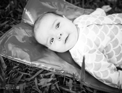 VivaStudio_Newborn_Baby_Family_Photography_Toowoong_Perrin_Park_Brisbane_017