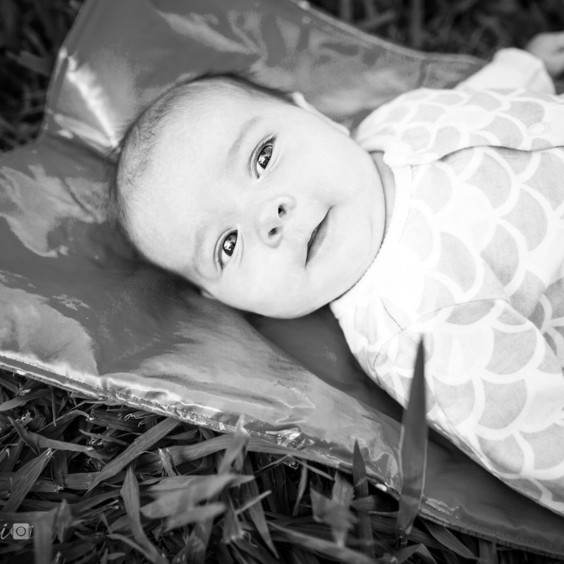 VivaStudio_Newborn_Baby_Family_Photography_Toowoong_Perrin_Park_Brisbane_017